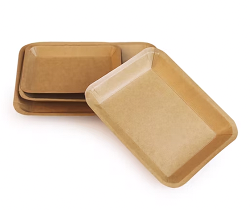 Sustainable Packaging Product